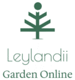 logo leylandii