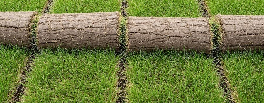 Error en la disposición de los rollos de tepe