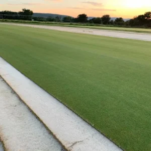 césped rye blue suavidad y elegancia