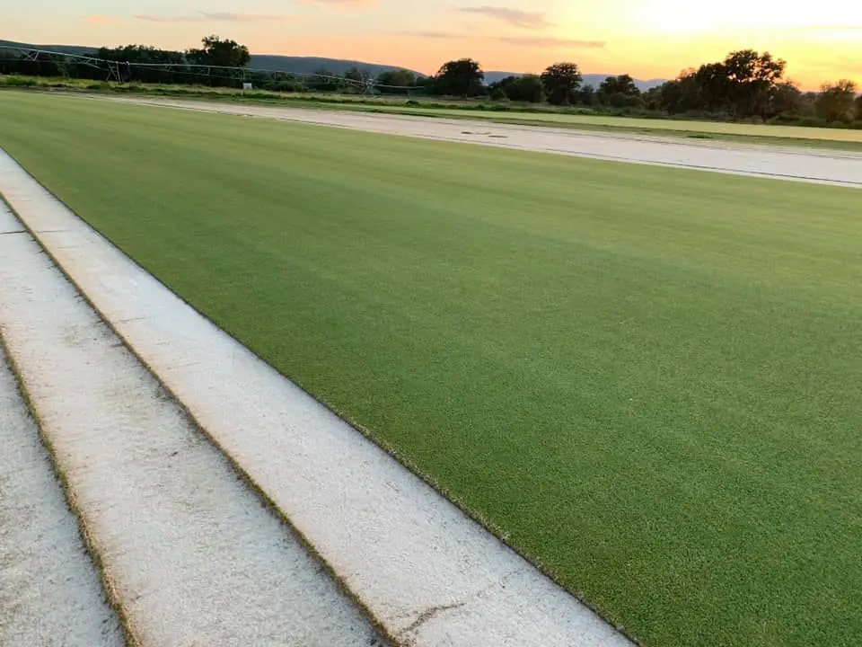 campo de rye blue césped rye blue suavidad y elegancia