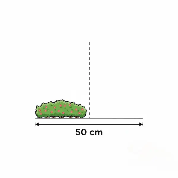 esquema distancia seto