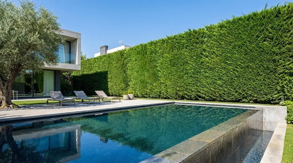 La privacidad que proporciona el leylandii es de total fiabilidad