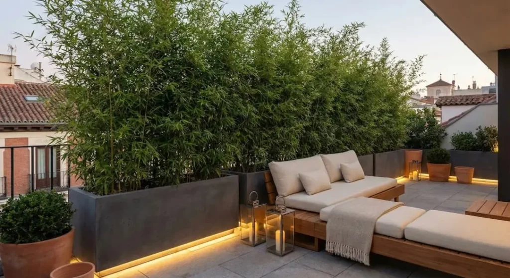 terraza zen con bambú