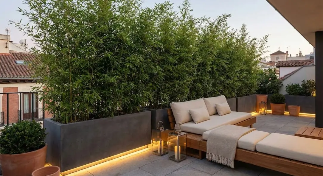 terraza zen con bambú