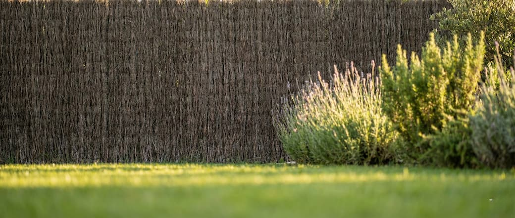 Brezo Ocultación Natural en el jardín