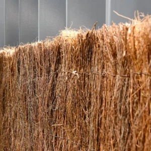 cocobruc ocultación natural máxima