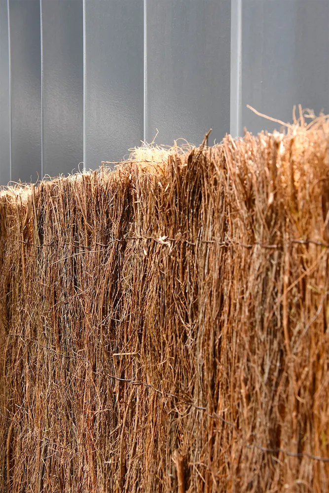 cocobruc ocultación natural máxima