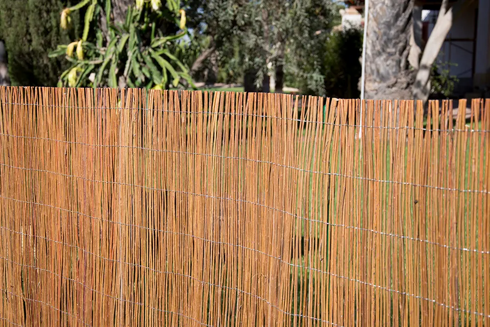 mimbre nacional m´xima calidad