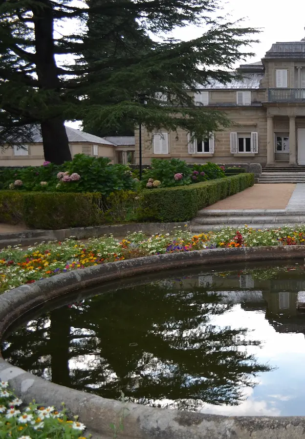 cedro singular en casita del príncipe de El Escorial